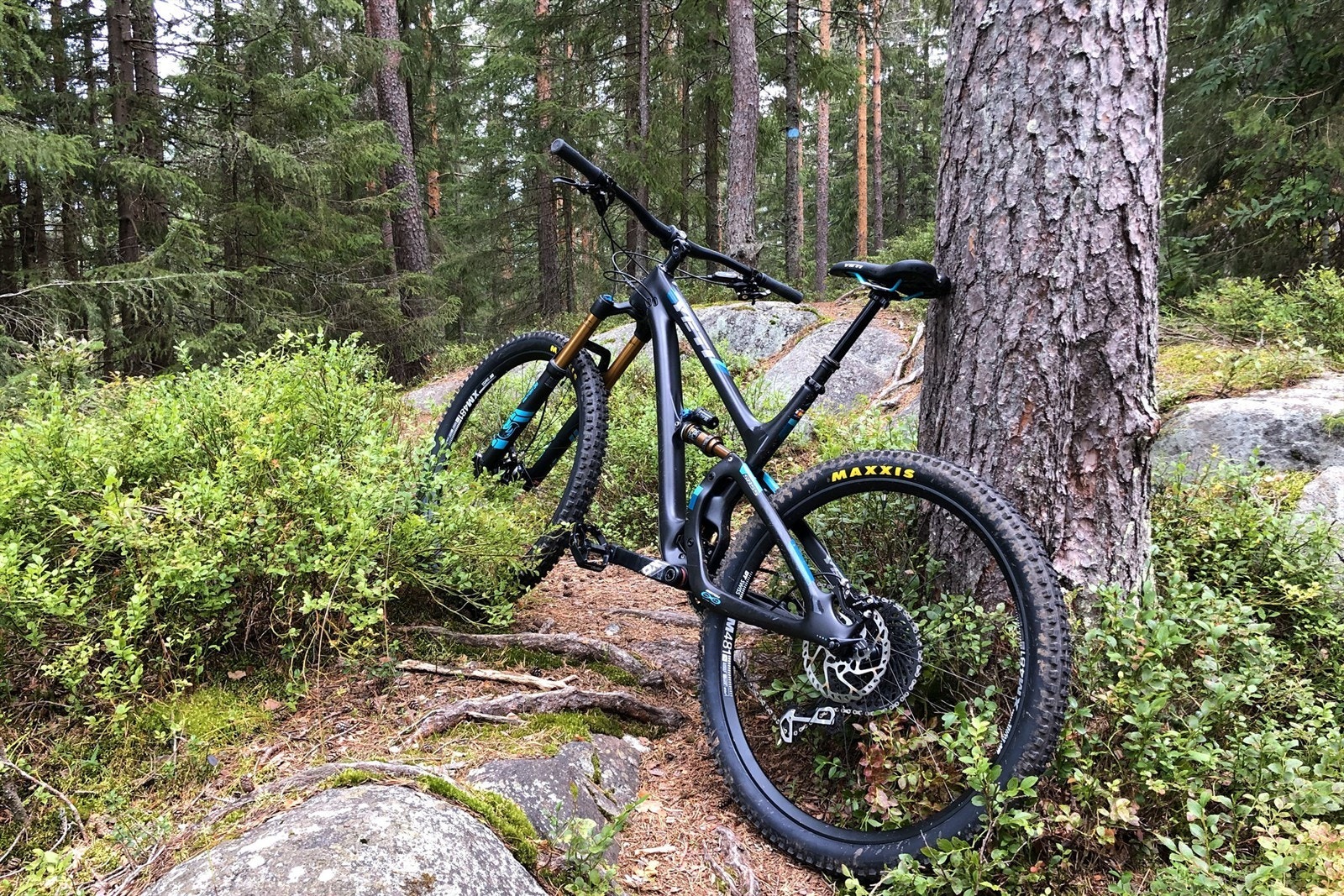 Leiligheten har en ideell beliggenhet hvis du liker å ferdes i marka, til fots, på sykkel eller på ski Galleribilde