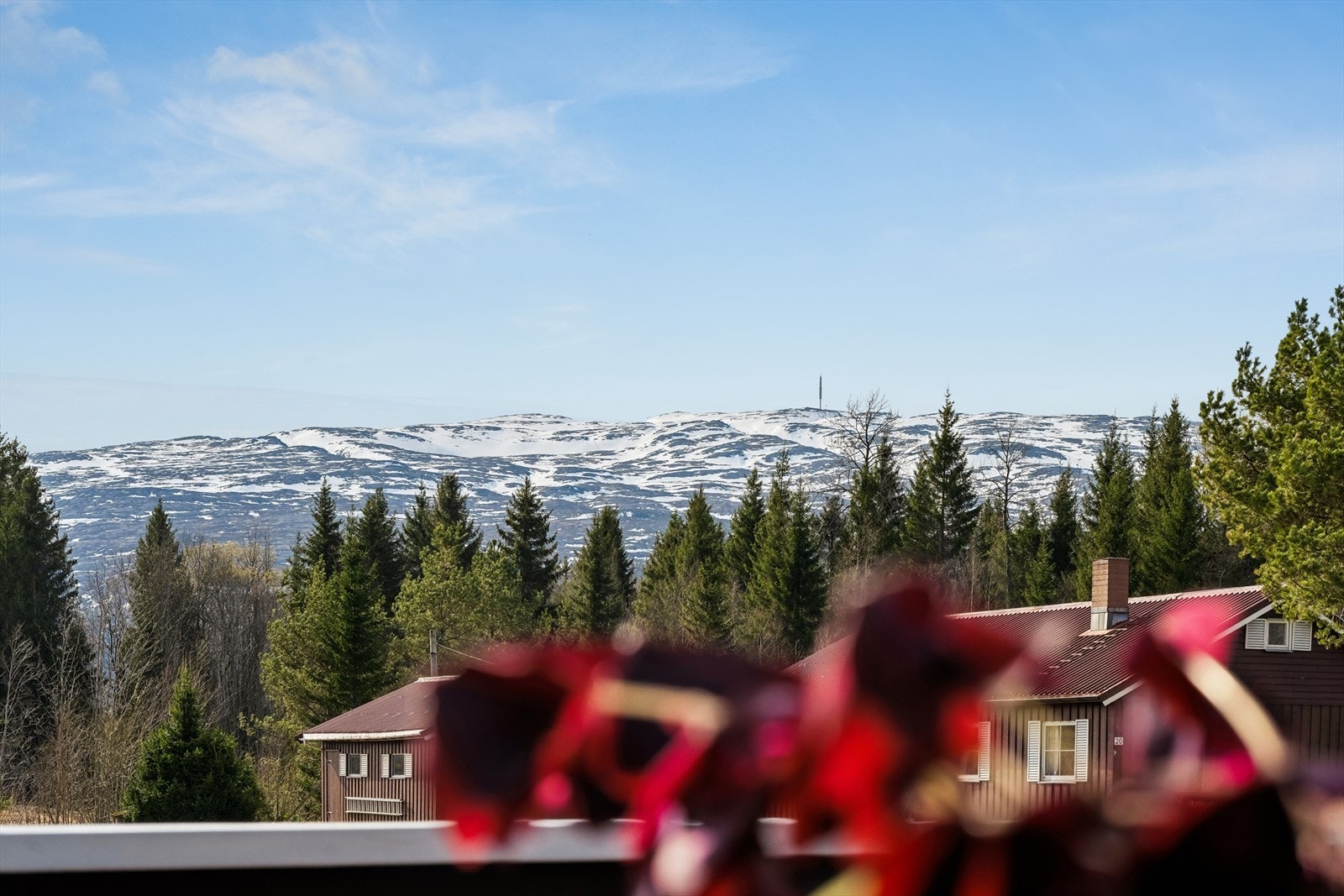 Fin utsikt mot Geitfjellet Galleribilde
