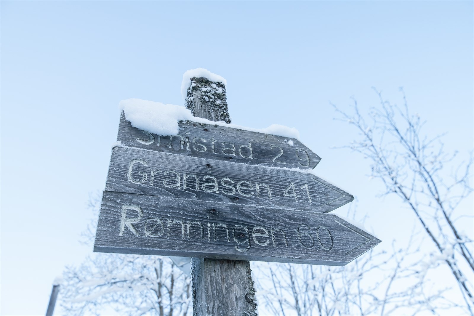 Kort gange til nydelige Bymarka som er like vakker vinter som på sommeren, med fine turmål Galleribilde