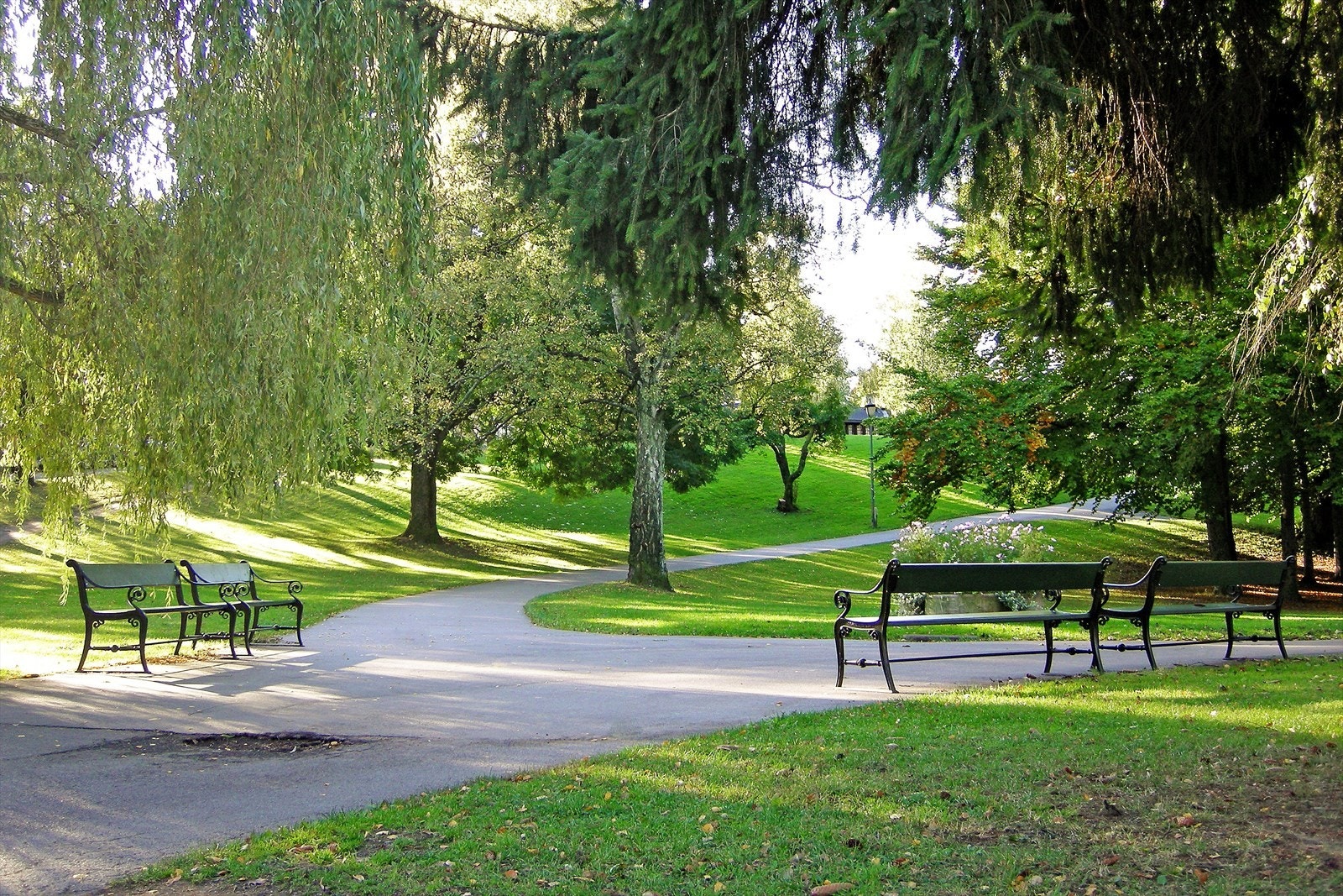Ca. 750 meter til St. Hanshaugen park. Galleribilde