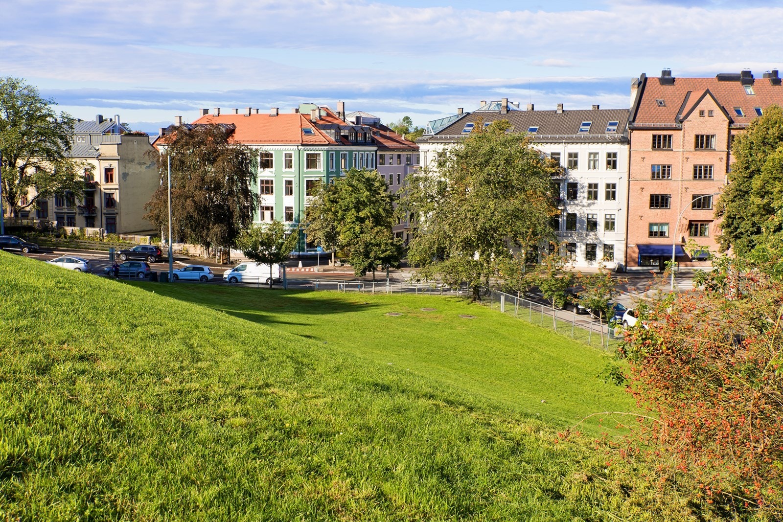 Områdebilde. Galleribilde