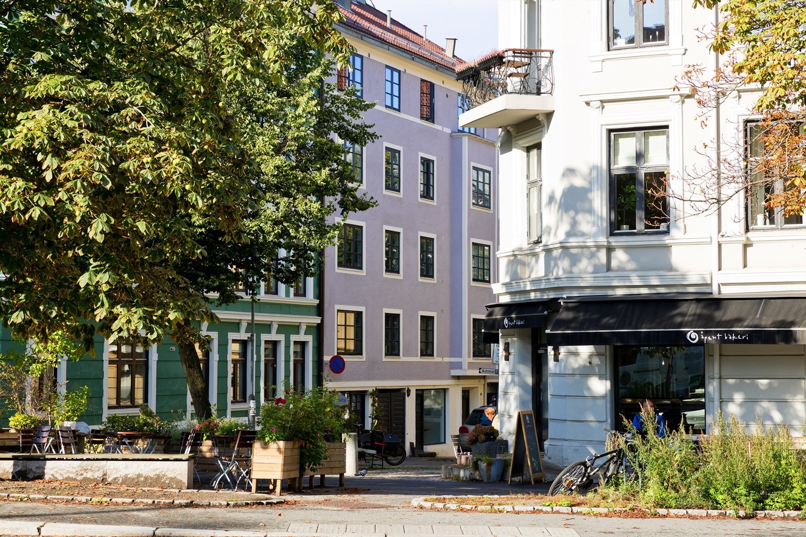 Områdebilde. Galleribilde