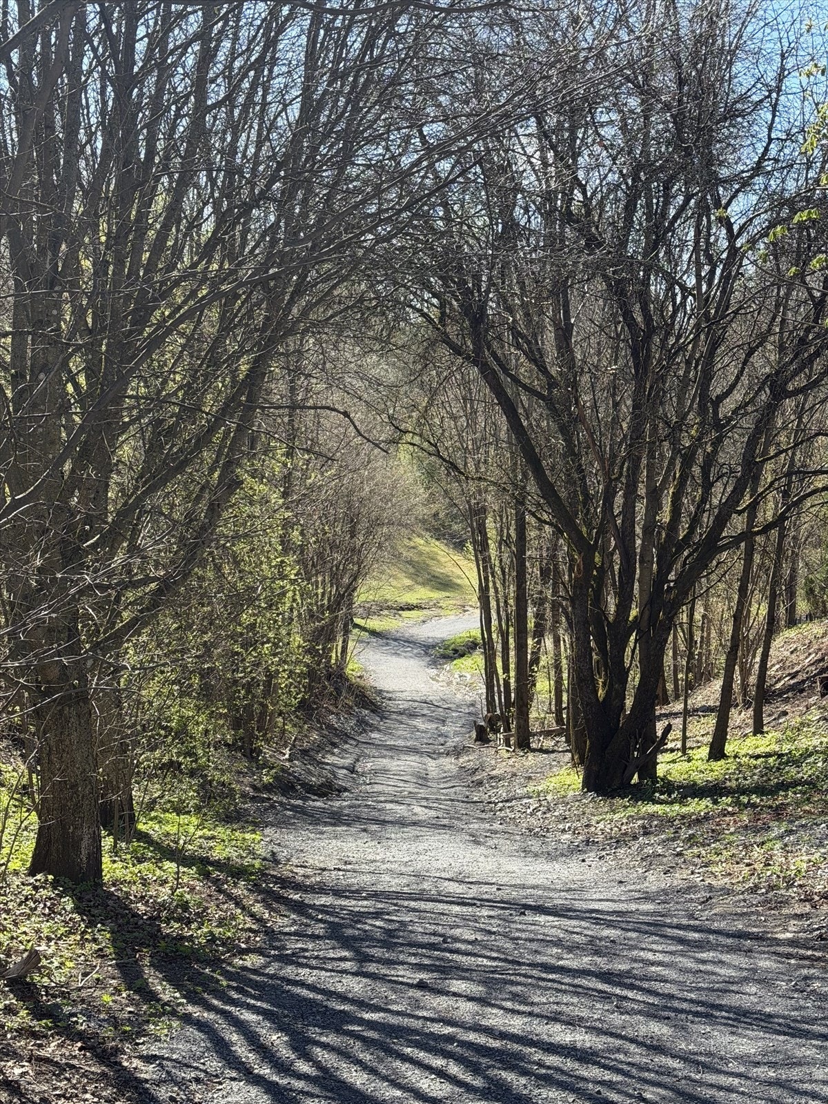 En av stiene ned mot Lysakerleva ligger med få minutters gange fra leiligheten. Galleribilde