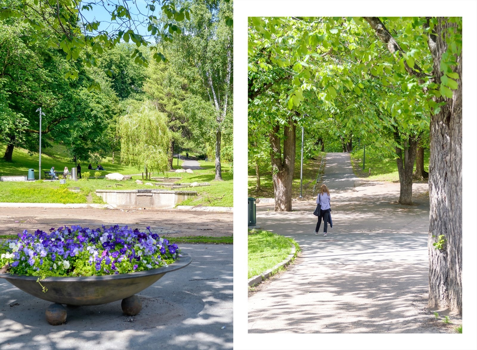 St. Hanshaugen er en stor park med flotte grøntområde, fine turmuligheter og en nydelig utsikt over sentrum. Galleribilde