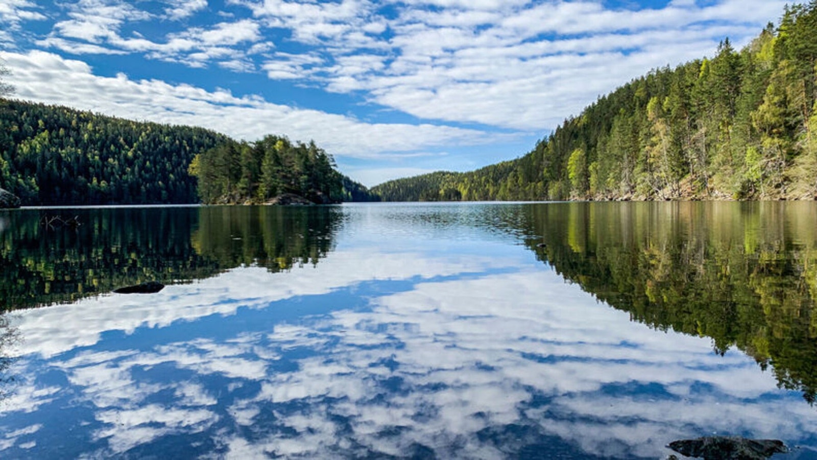 Denne leiligheten kombinerer alt du trenger: Nærhet til Oslo, dagligvare, skog og mark.
Foto: Bymiljøetaten/Oslo kommune
Velkommen til Visning! Galleribilde