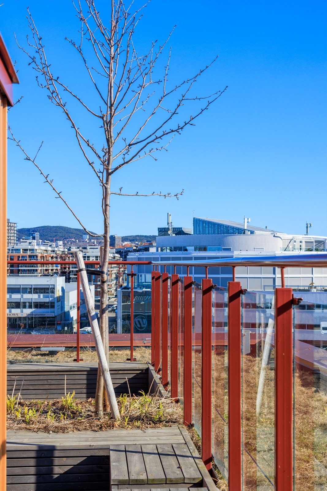 På takterrassene finnes det også diverse bær- og frukttrær Galleribilde