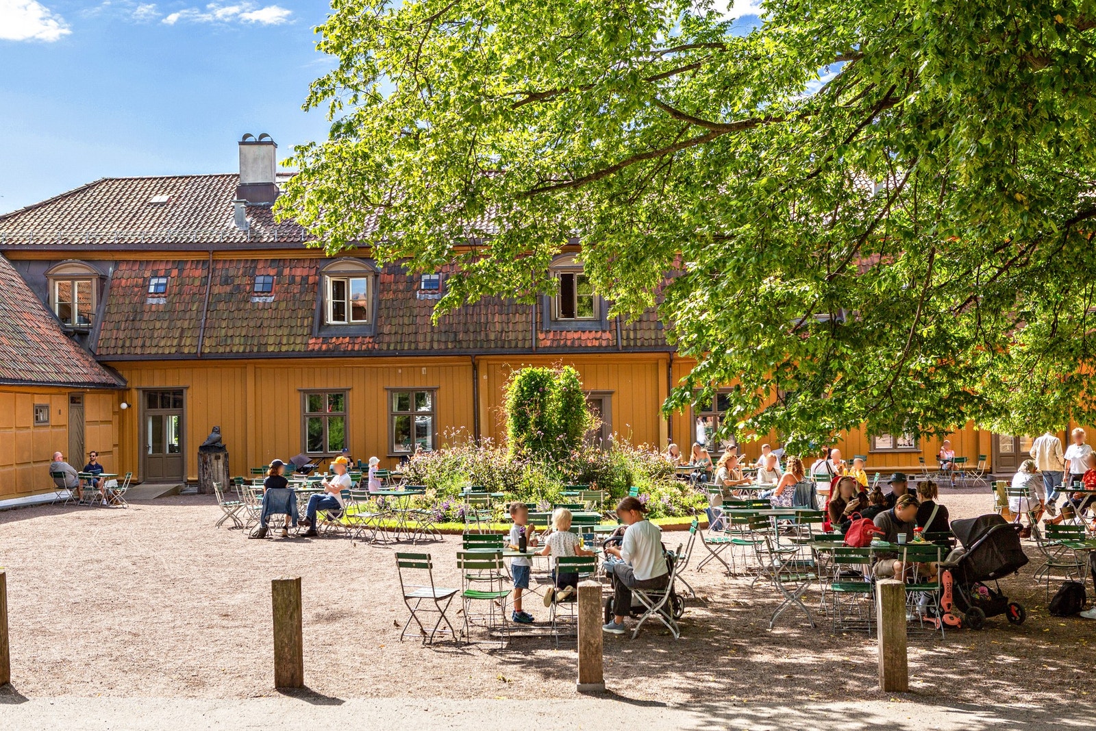Botanisk hage er en grønn oase i nærområdet med vakre omgivelser og kafé. Galleribilde