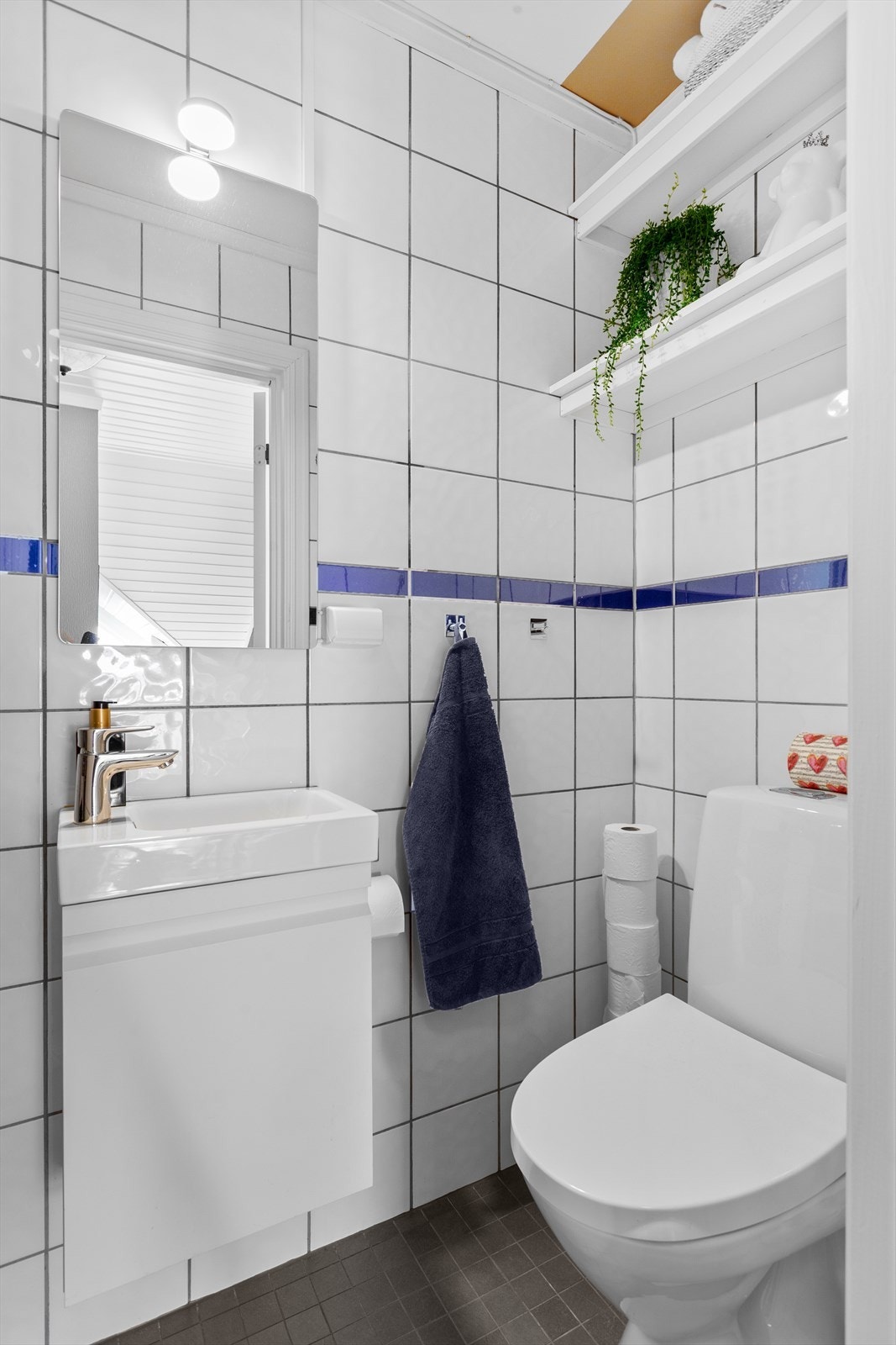 Det andre badet har gulvstående toalett og dusj, praktisk plassert i nærheten av entréen. Galleribilde