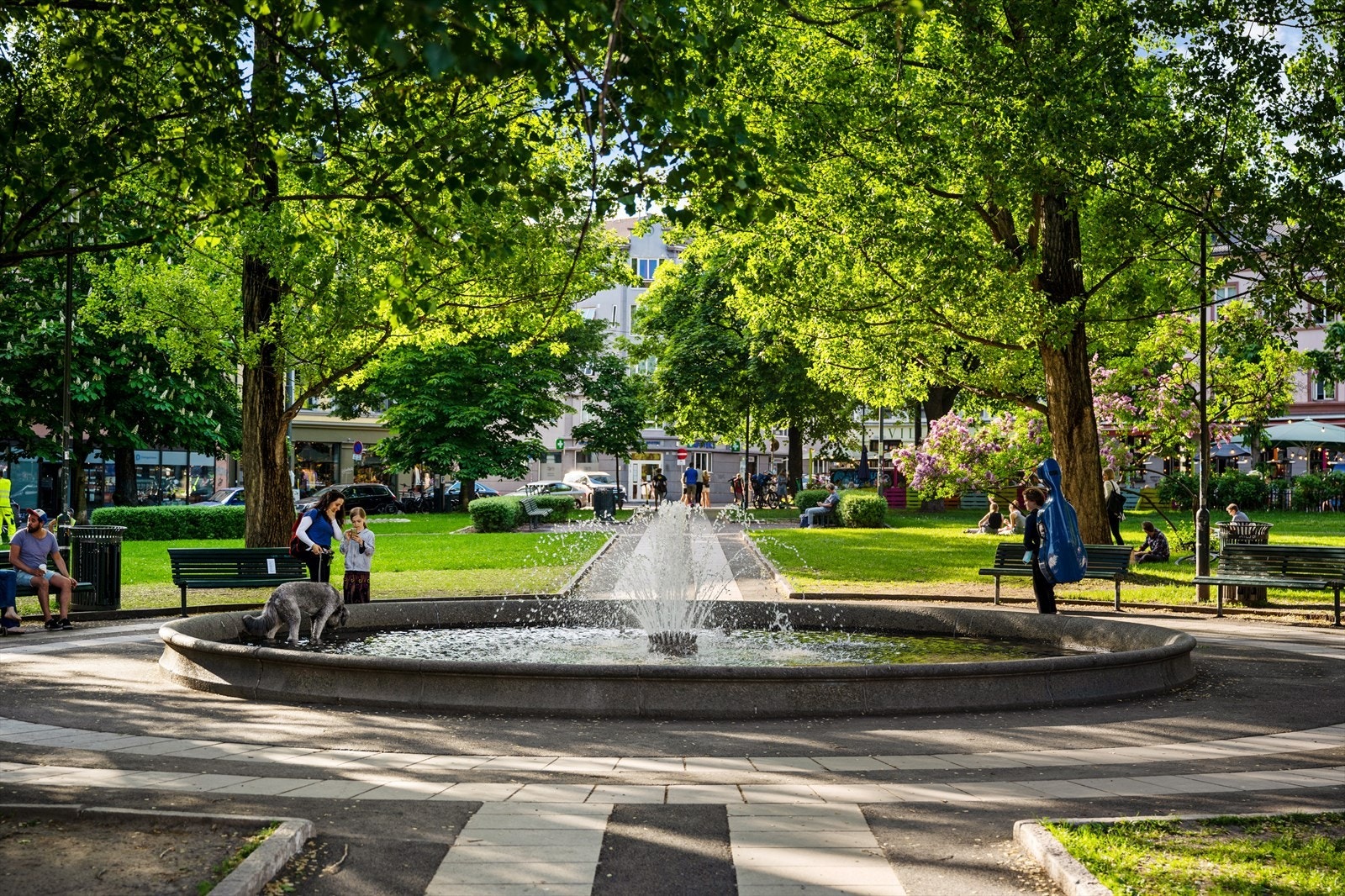 Gangavstand til Olaf Ryes plass gir tilgang til et populært samlingspunkt og rekreasjonsområde. Galleribilde
