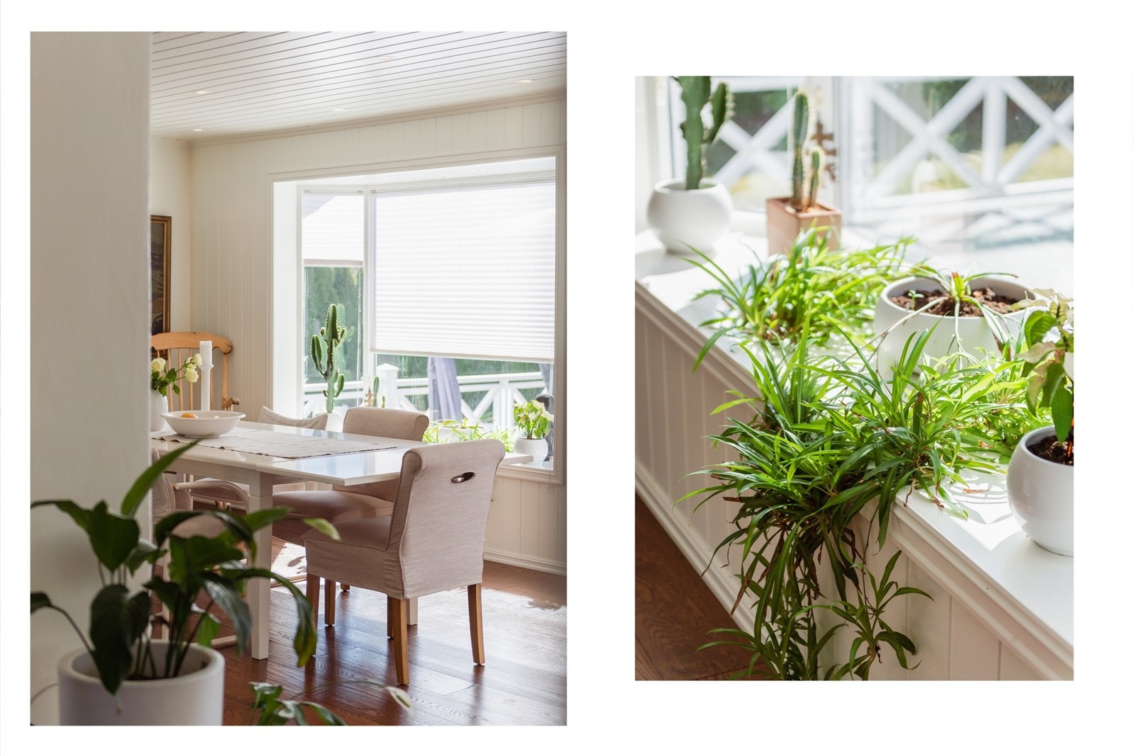 Store vindusflater gir rikelig med naturlig lys. Galleribilde