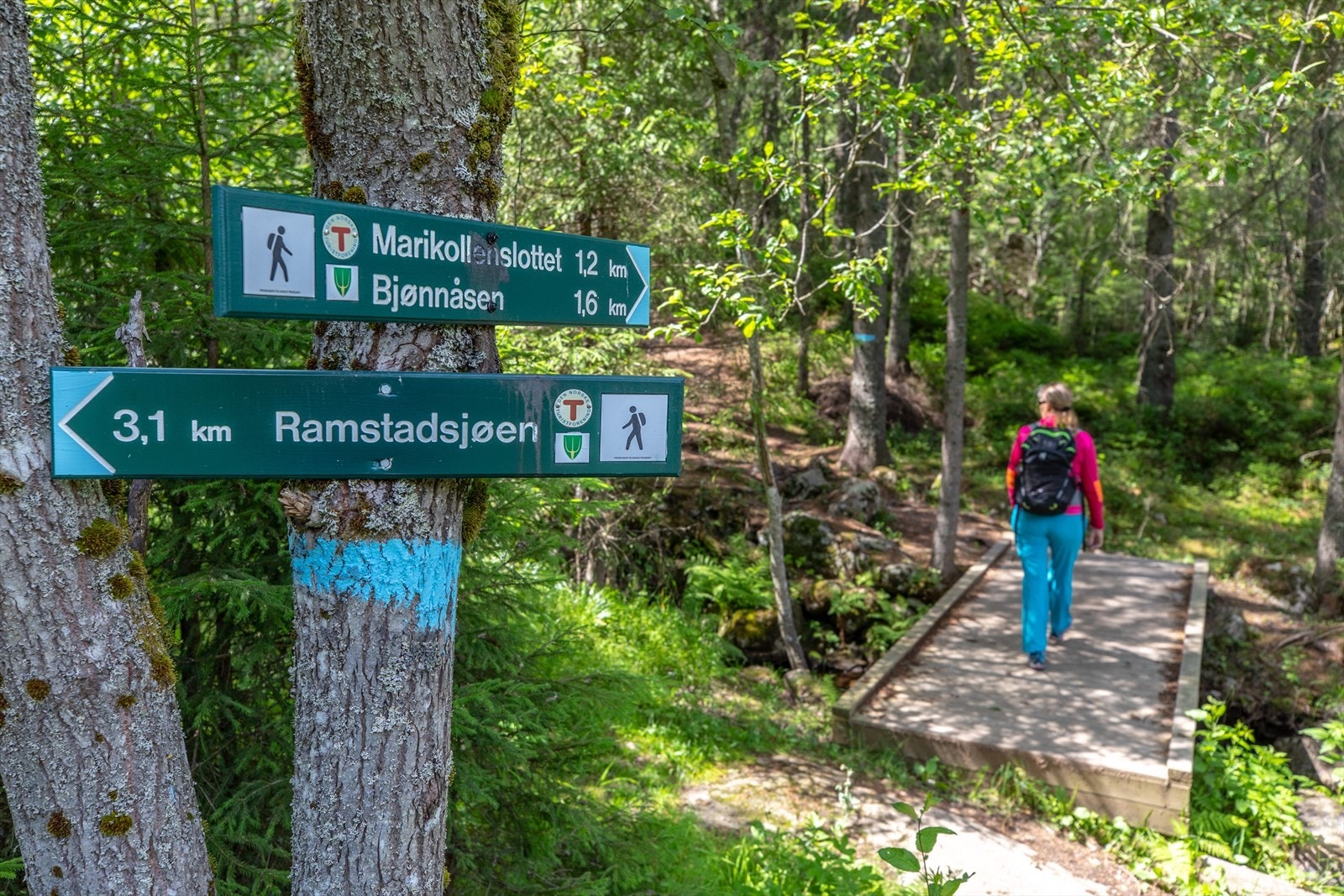 Kort vei til markainngangen med et flust av turmuligheter - året rundt. Galleribilde