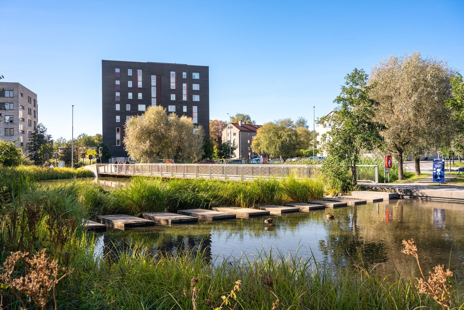 Her bor du med Teglverksdammen som nærmeste nabo. Galleribilde