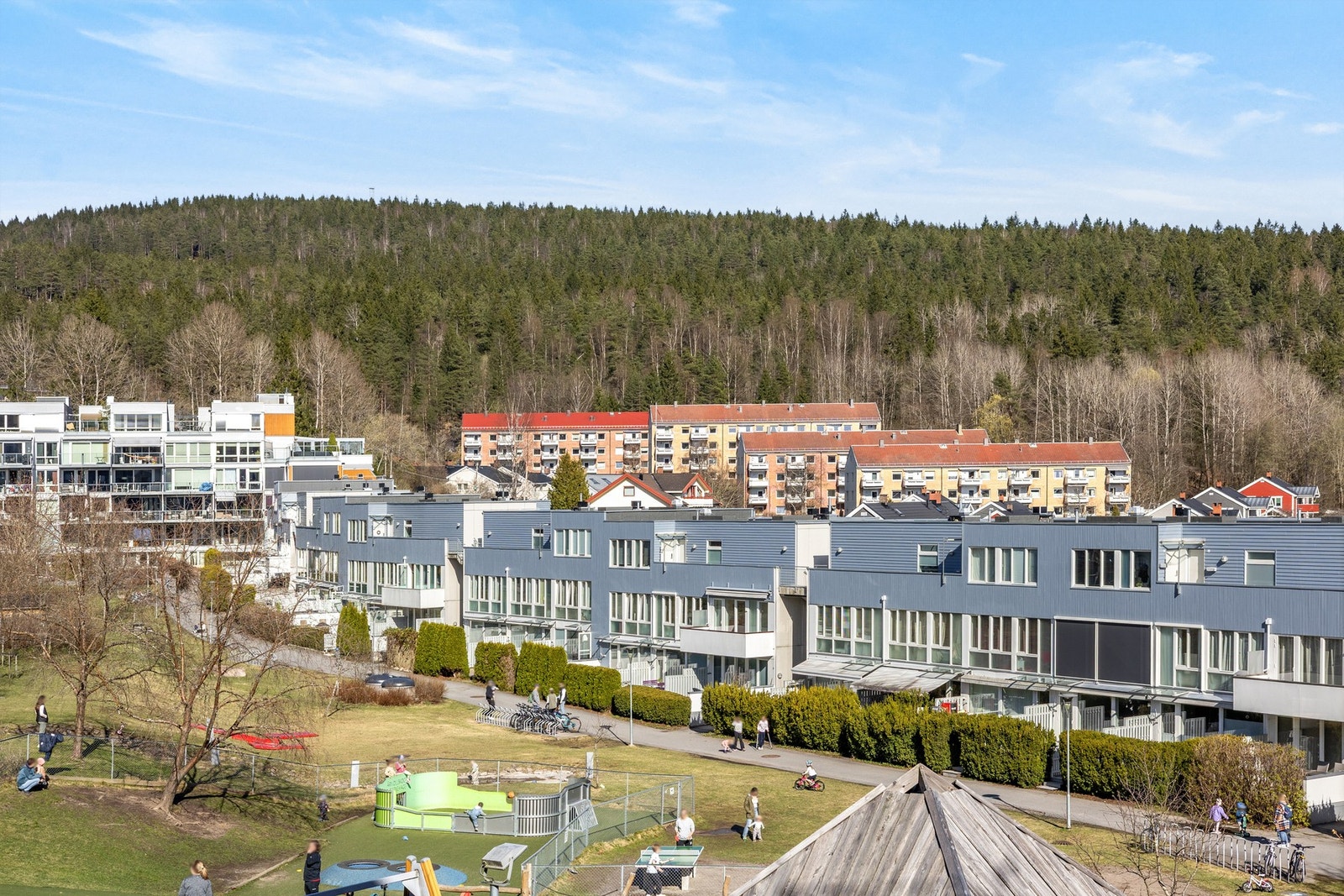 Årvollskogen med Årvollåsen i bakgrunn Galleribilde