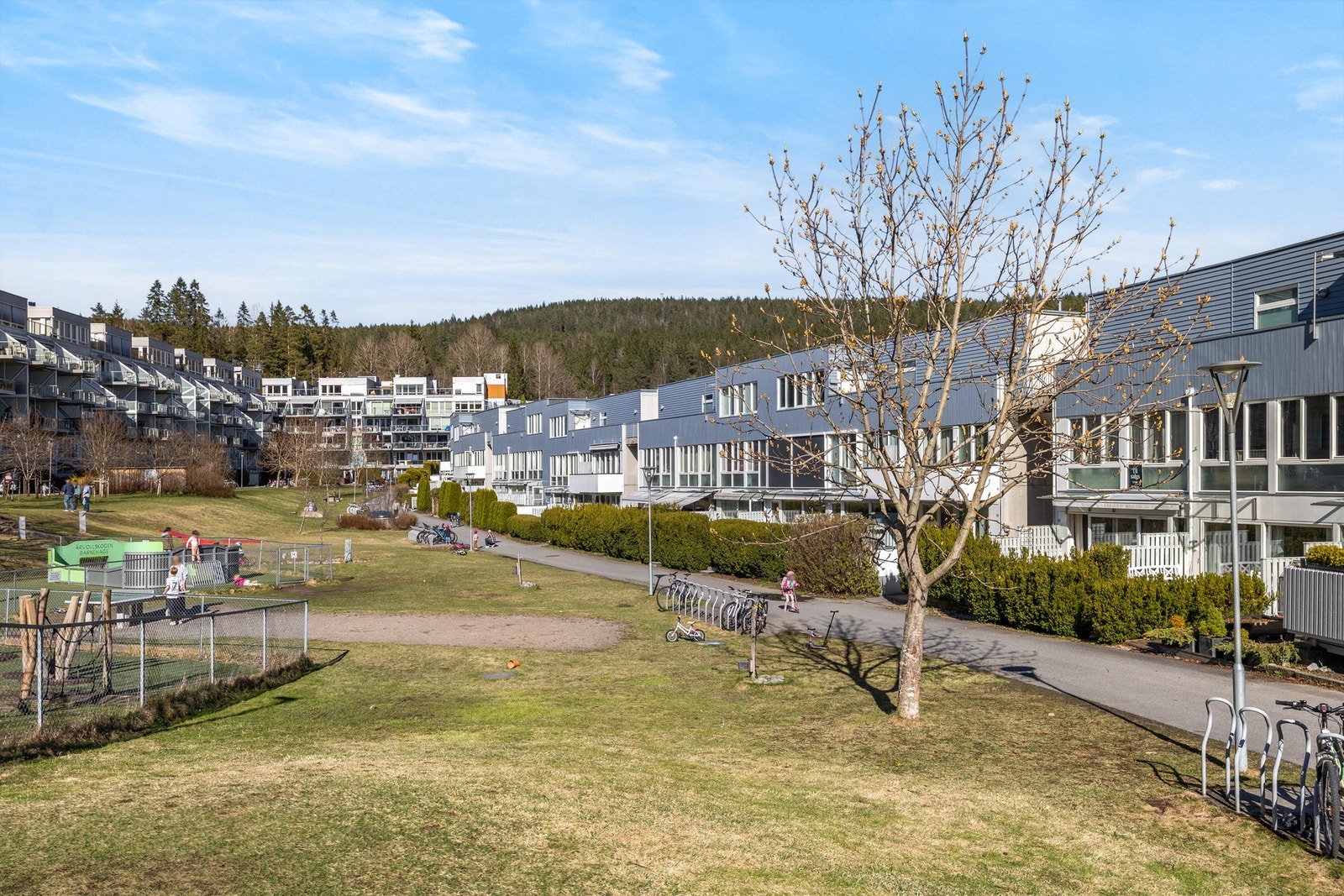 Sameiets flotte parkområde - om en måneds tid står trærne her inne i full blomst og gresset har blitt grønt.. Galleribilde