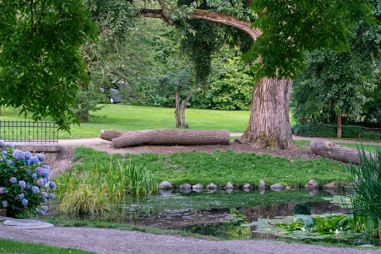 Botanisk Hage Galleribilde
