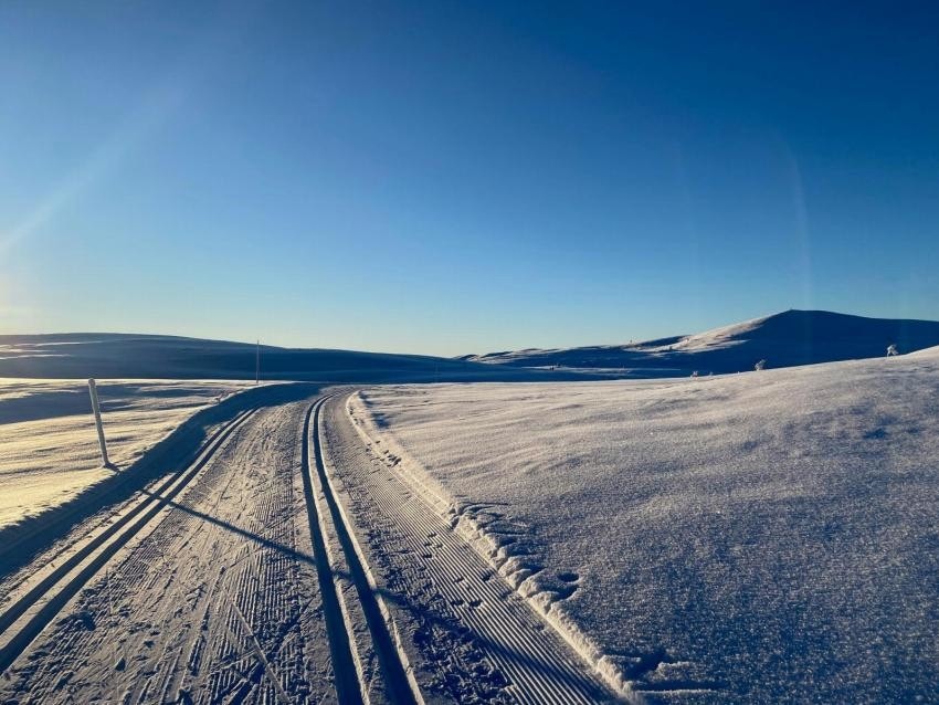 Eldorado med langrennsløyper på snaufjellet som bader i solen Galleribilde