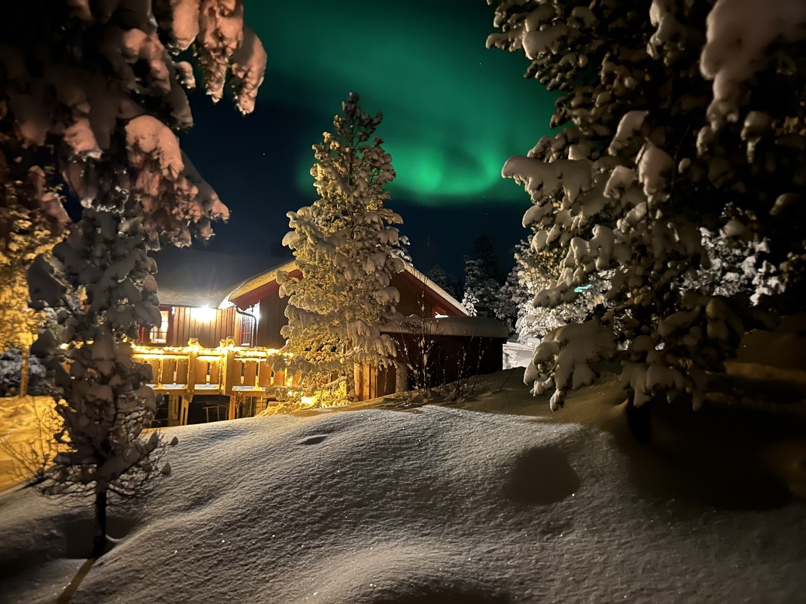 Selgers eget bilde. Galleribilde