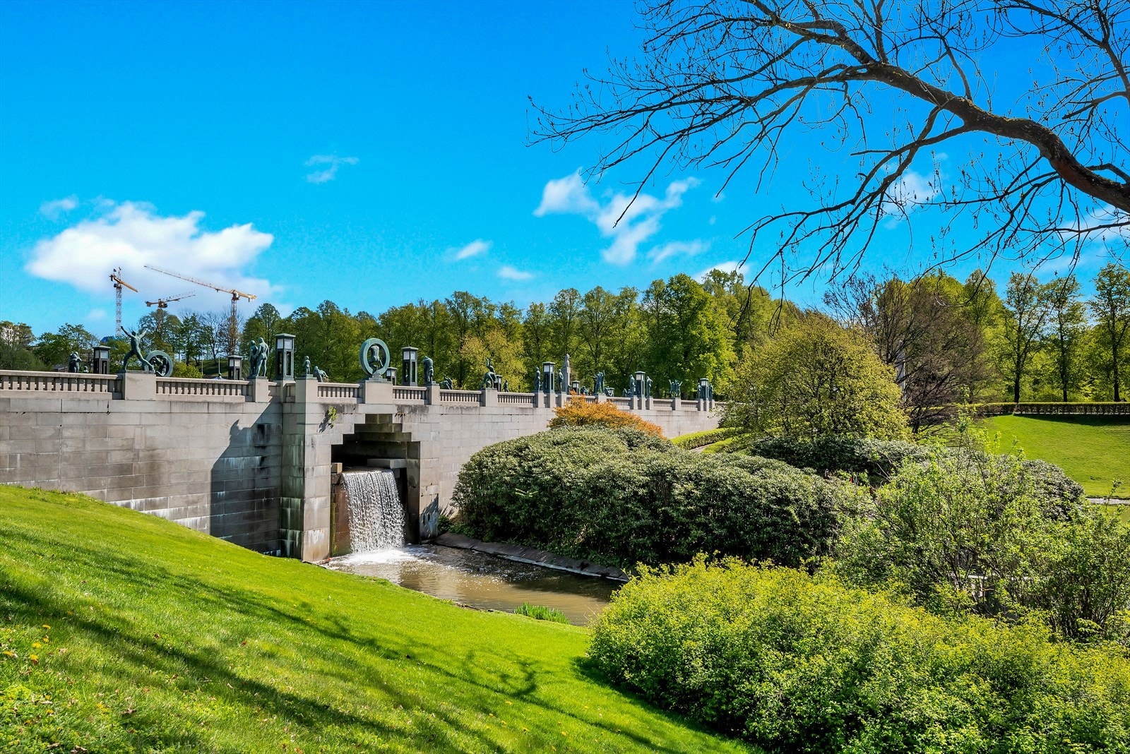 Områdebilde. Galleribilde