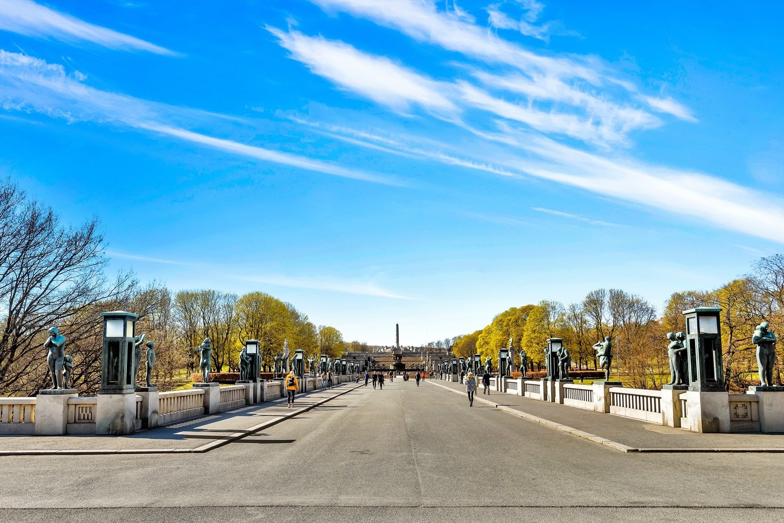Områdebilde. Galleribilde