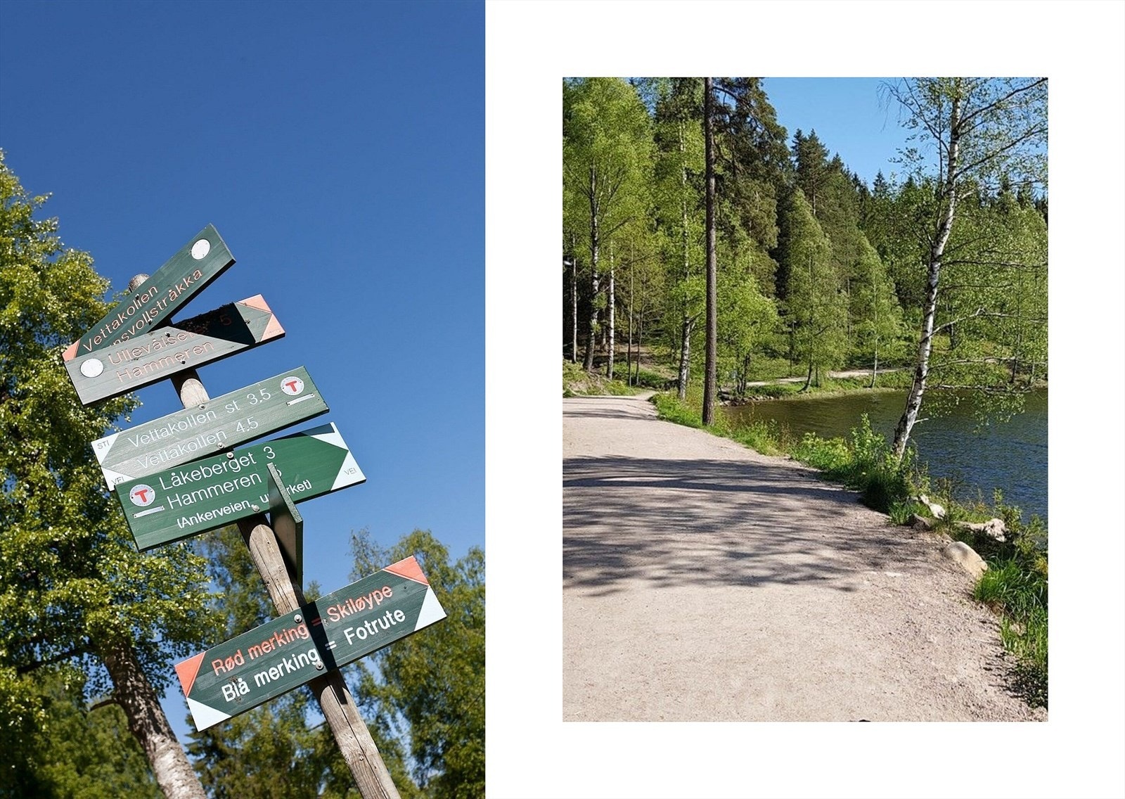 Om sommeren er det populært å bade i Sognsvann og Bånntjern som begge ligger i gangavstand. Det er også fin gå- eller løpetur med 250 m stigning til Vettakollen 419 moh, med fantastisk utsikt over Oslo. Galleribilde