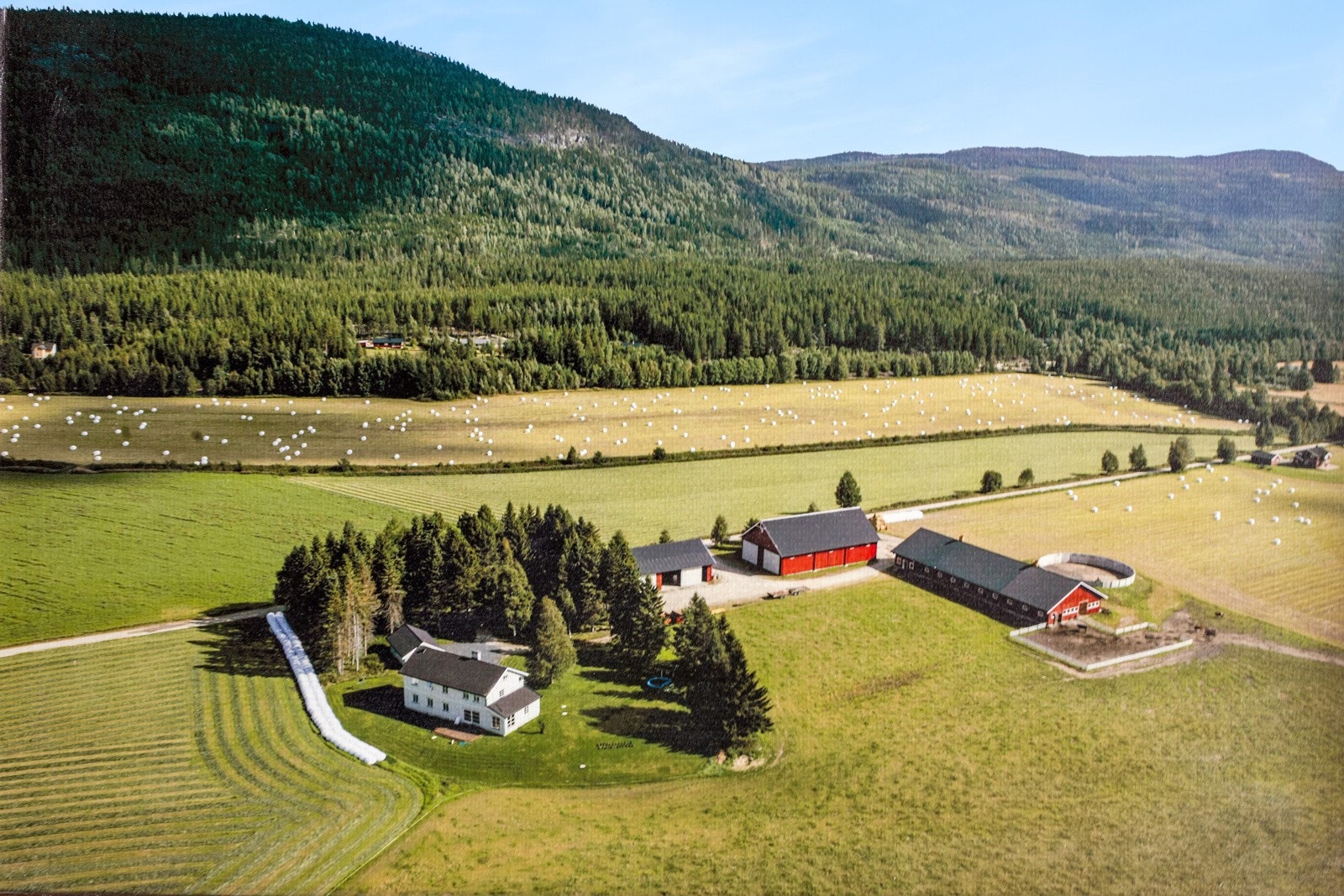 Fasade Galleribilde