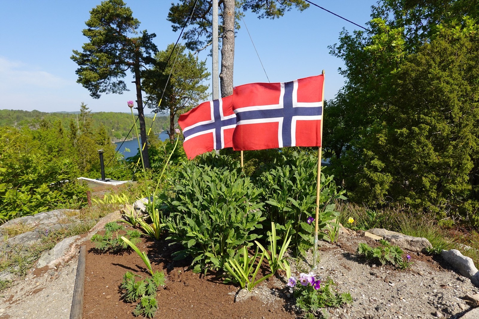 En idyllisk plass for å finne ferieroen. Galleribilde