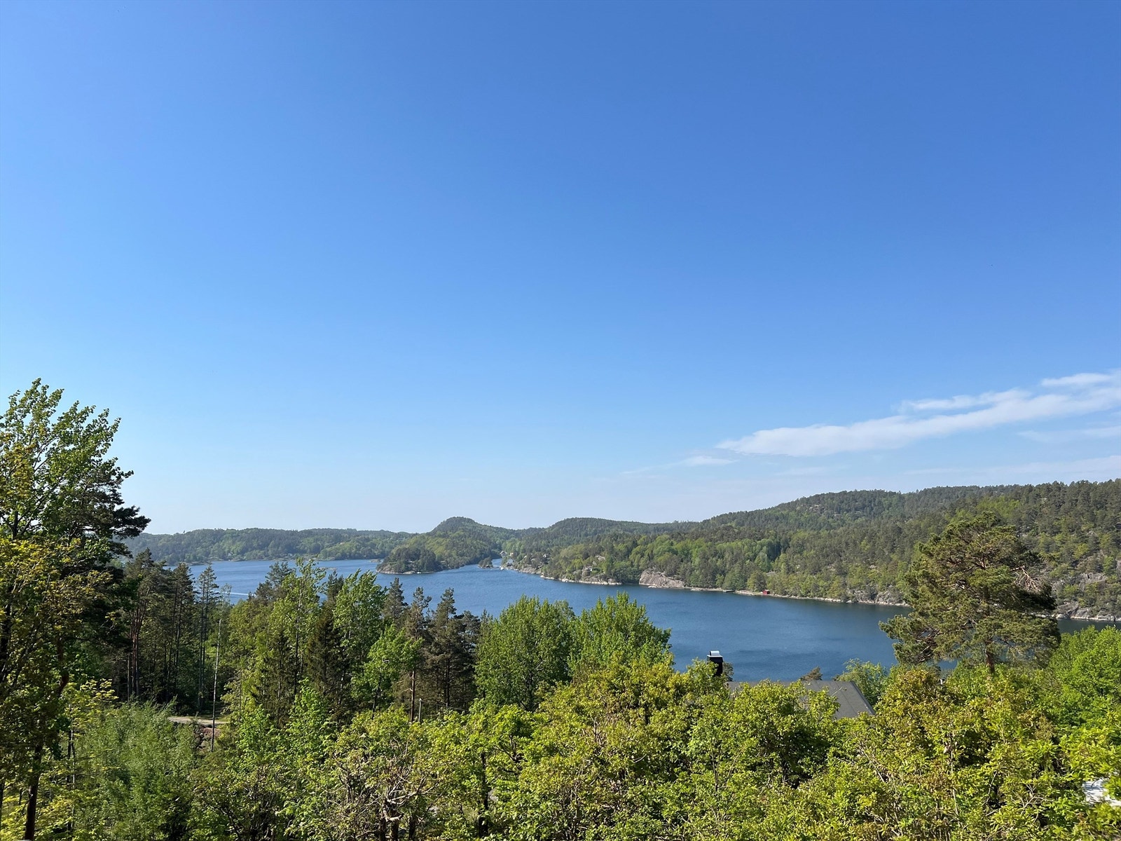 Utsikt fra eiendommen en sommerdag. Galleribilde