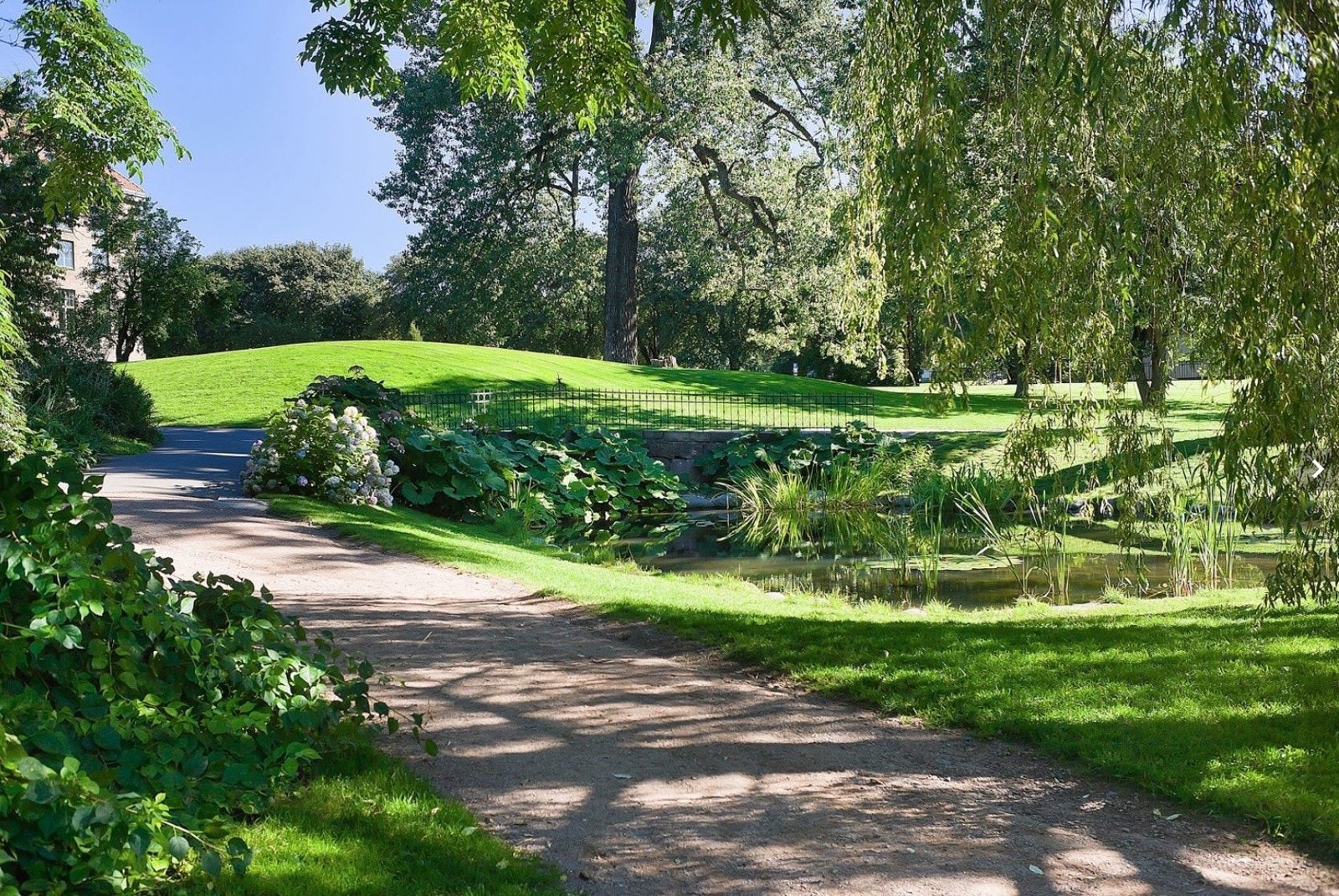 Botanisk Hage byens vakreste park ligger på Tøyen, kun en gåtur unna leiligheten Galleribilde