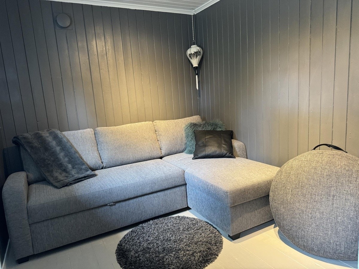 Disponibelt rom med sovesofa Galleribilde