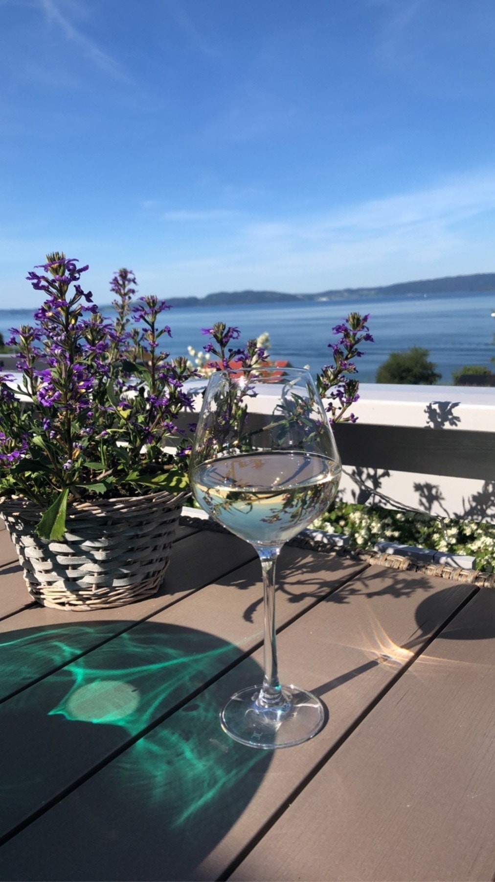 Bilde tatt av eier. Galleribilde