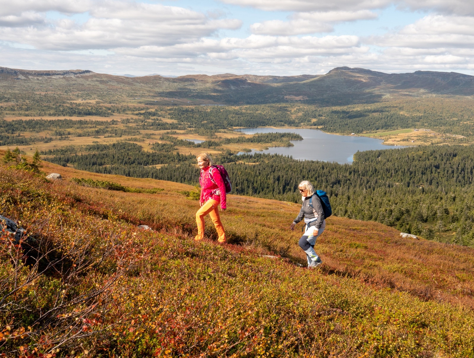 Sommer og høst byr området på gode tur- og sykkelmuligheter i et rolig og tilgjengelig fjellterreng. Galleribilde