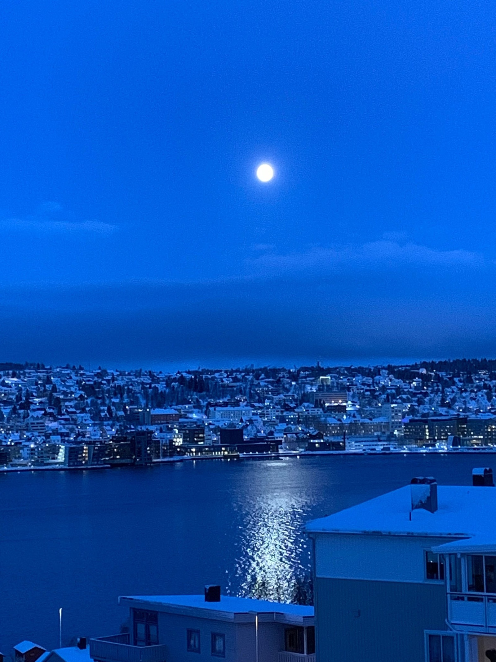 Blåtimen, privat foto Galleribilde