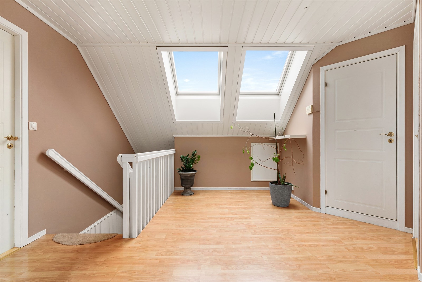 Takvinduene slipper inn rikelig med naturlig lys Galleribilde