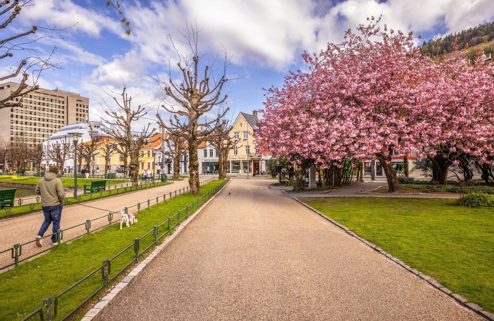 Område Galleribilde