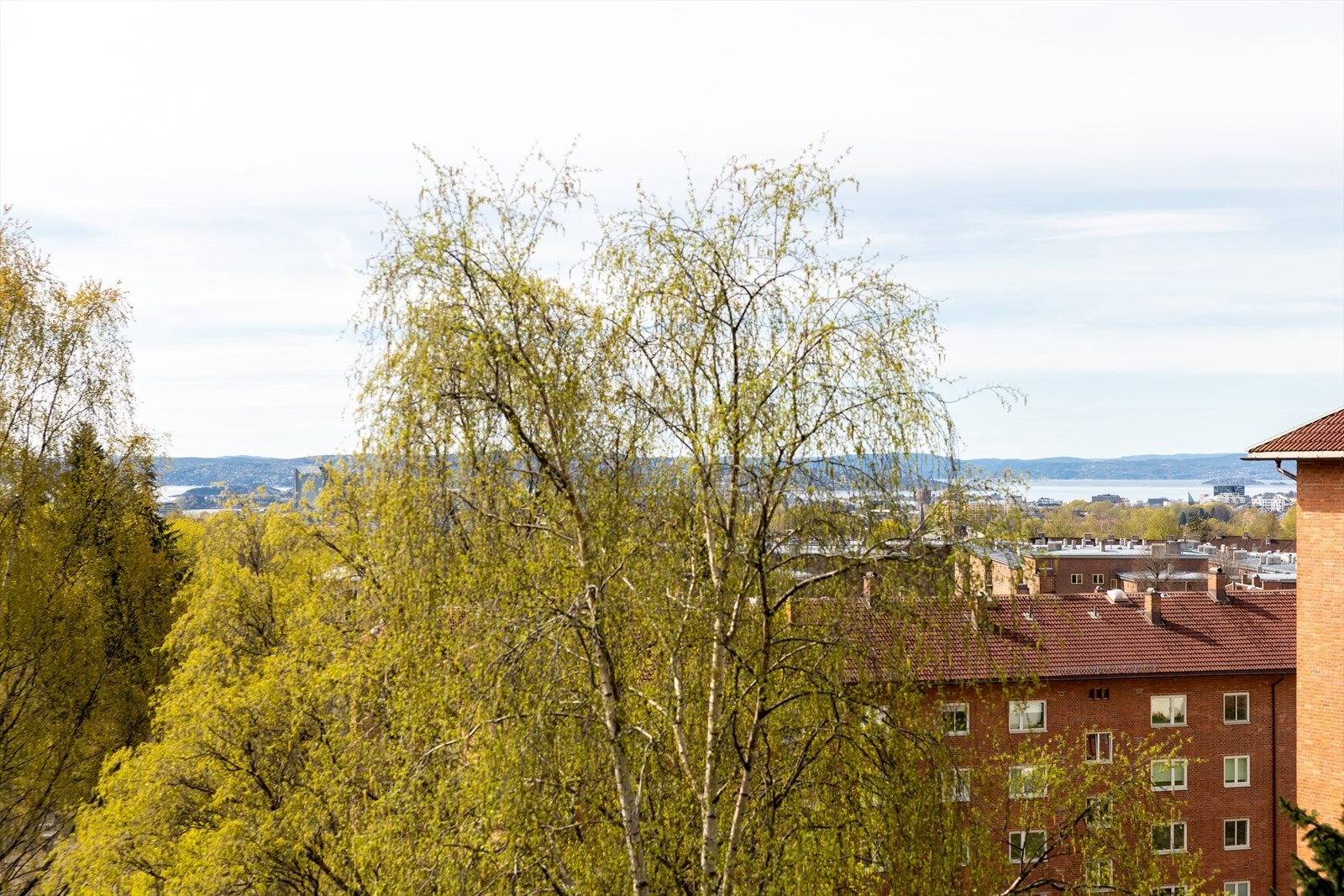 En lekker 3-roms selveier i et populært sameie med utsikt til Oslofjorden Galleribilde