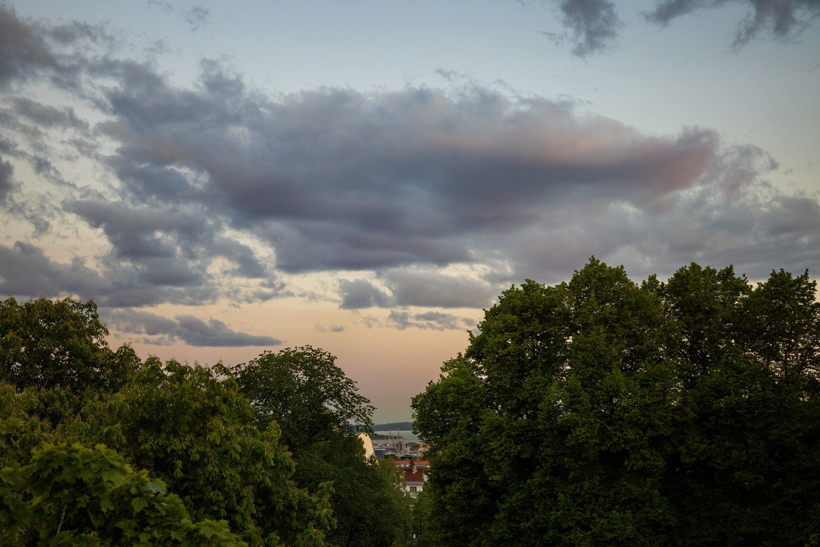 Utsikt fra felles takterrasse Galleribilde