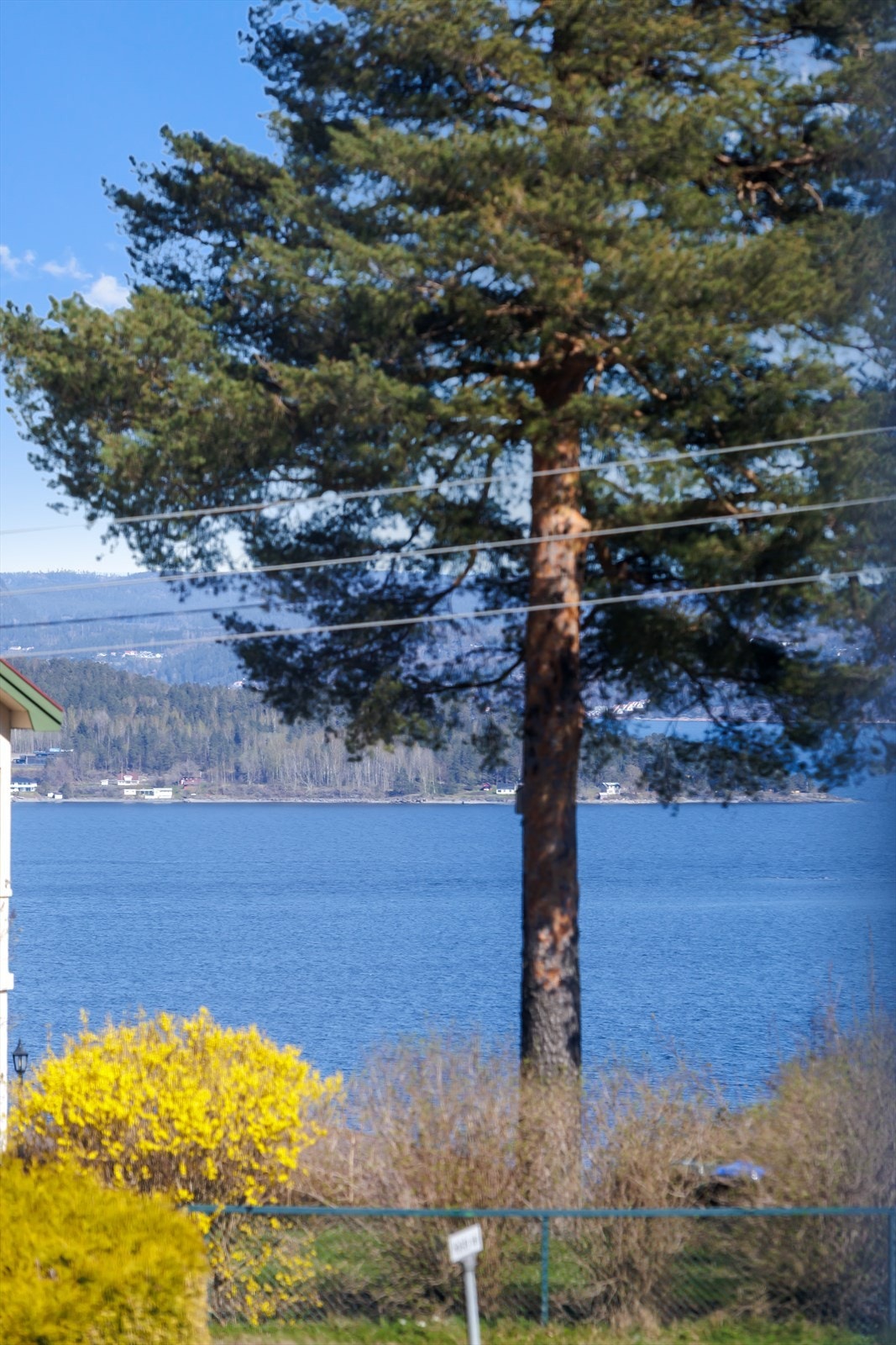 Utsyn ned mot fjorden. Galleribilde
