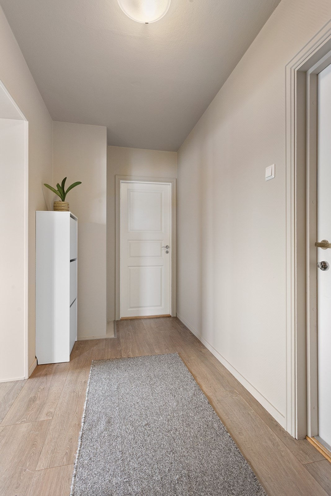 Fra felles trappegang er det adkomst til leiligheten i 2. etasje og videre opp til loftsleiligheten. Galleribilde