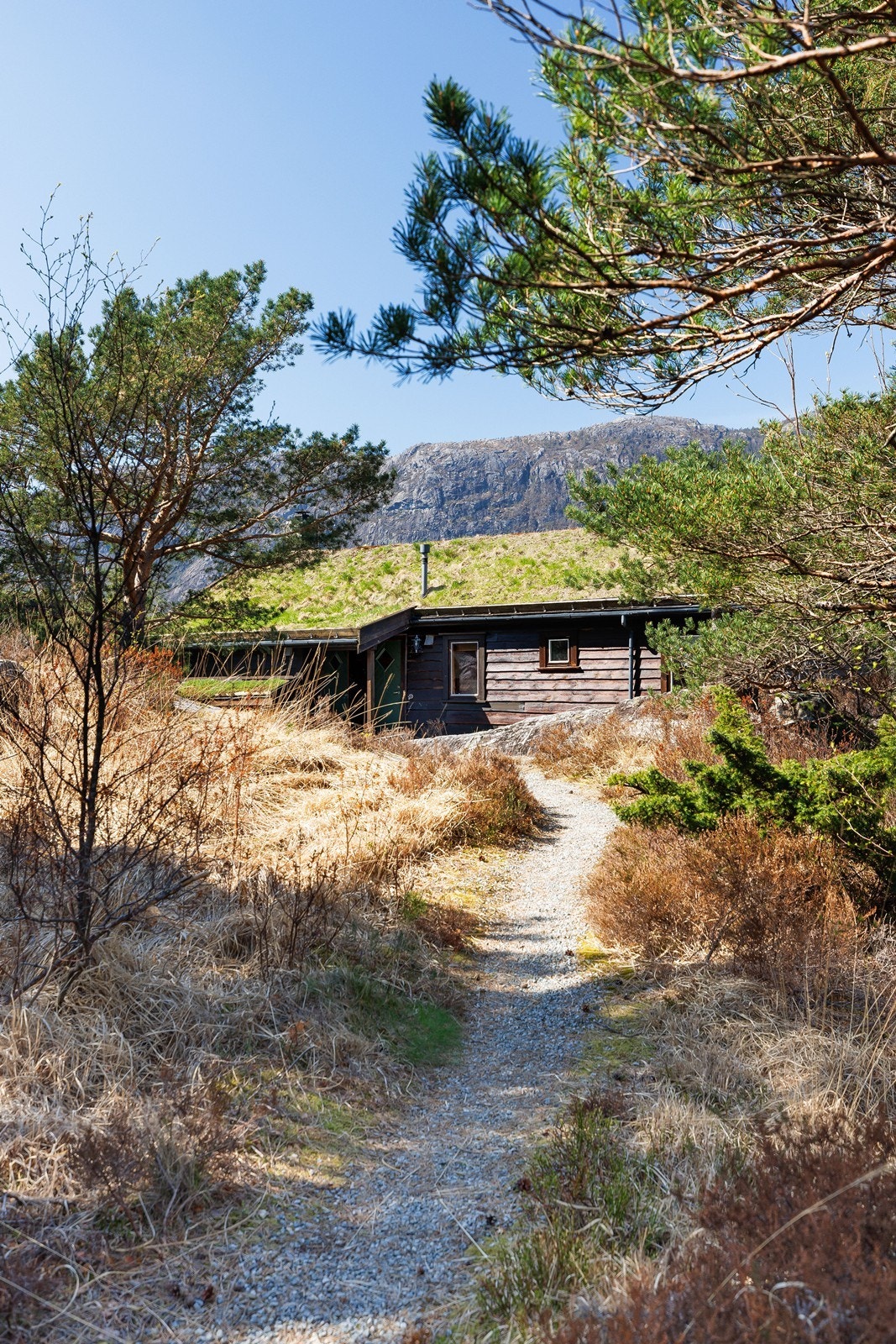 En koselig sti leder deg inn til hytten - som å ankomme et lite ferieparadis. Galleribilde
