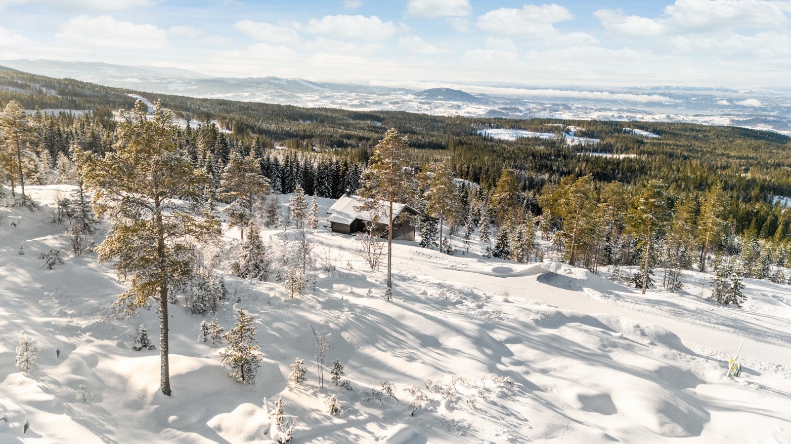 Flott utsikt Galleribilde