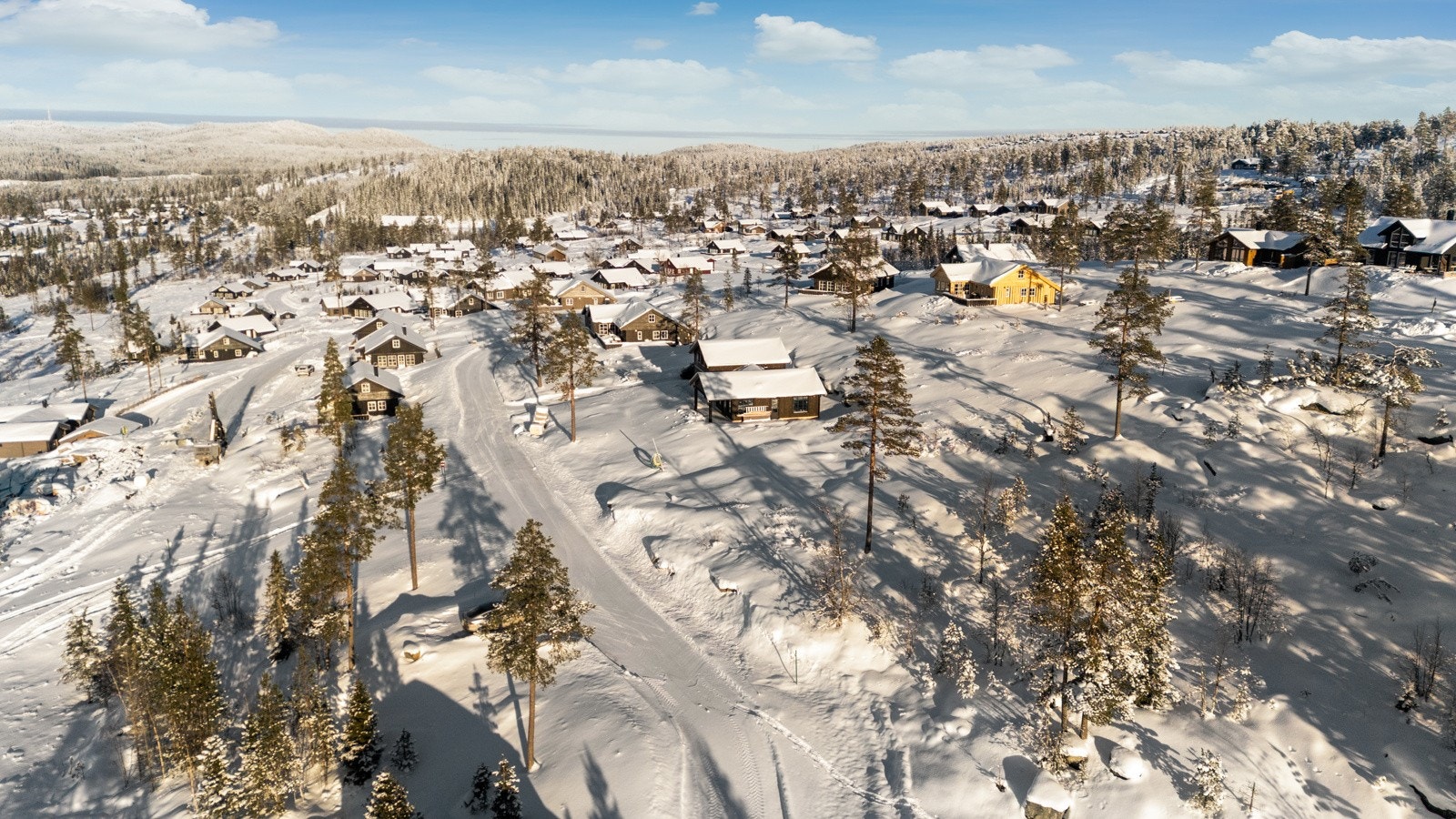 Flott utsikt Galleribilde
