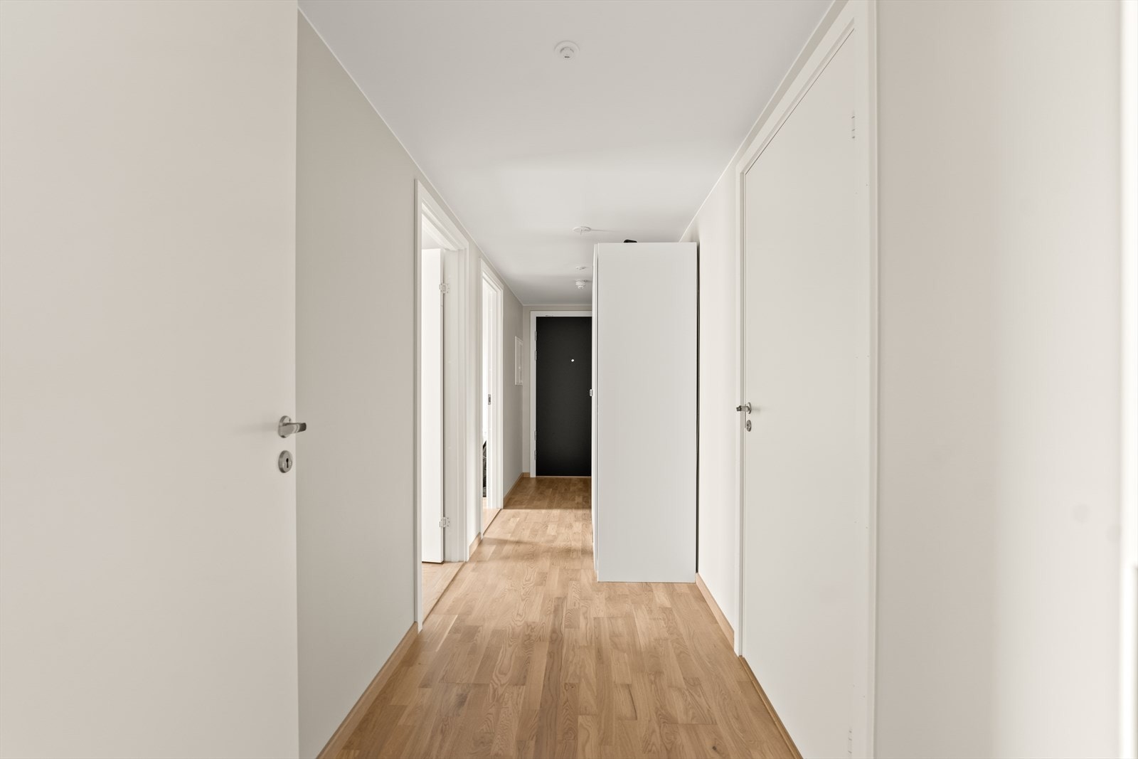 Innbydende gang med moderne finish, perfekt som velkomstområde for både beboere og gjester. Galleribilde