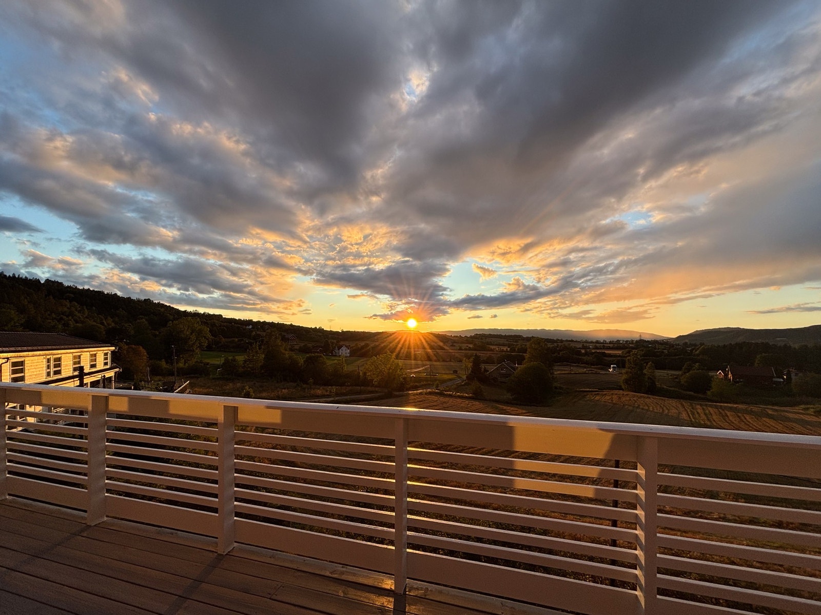 Selgers egne bilder. Galleribilde