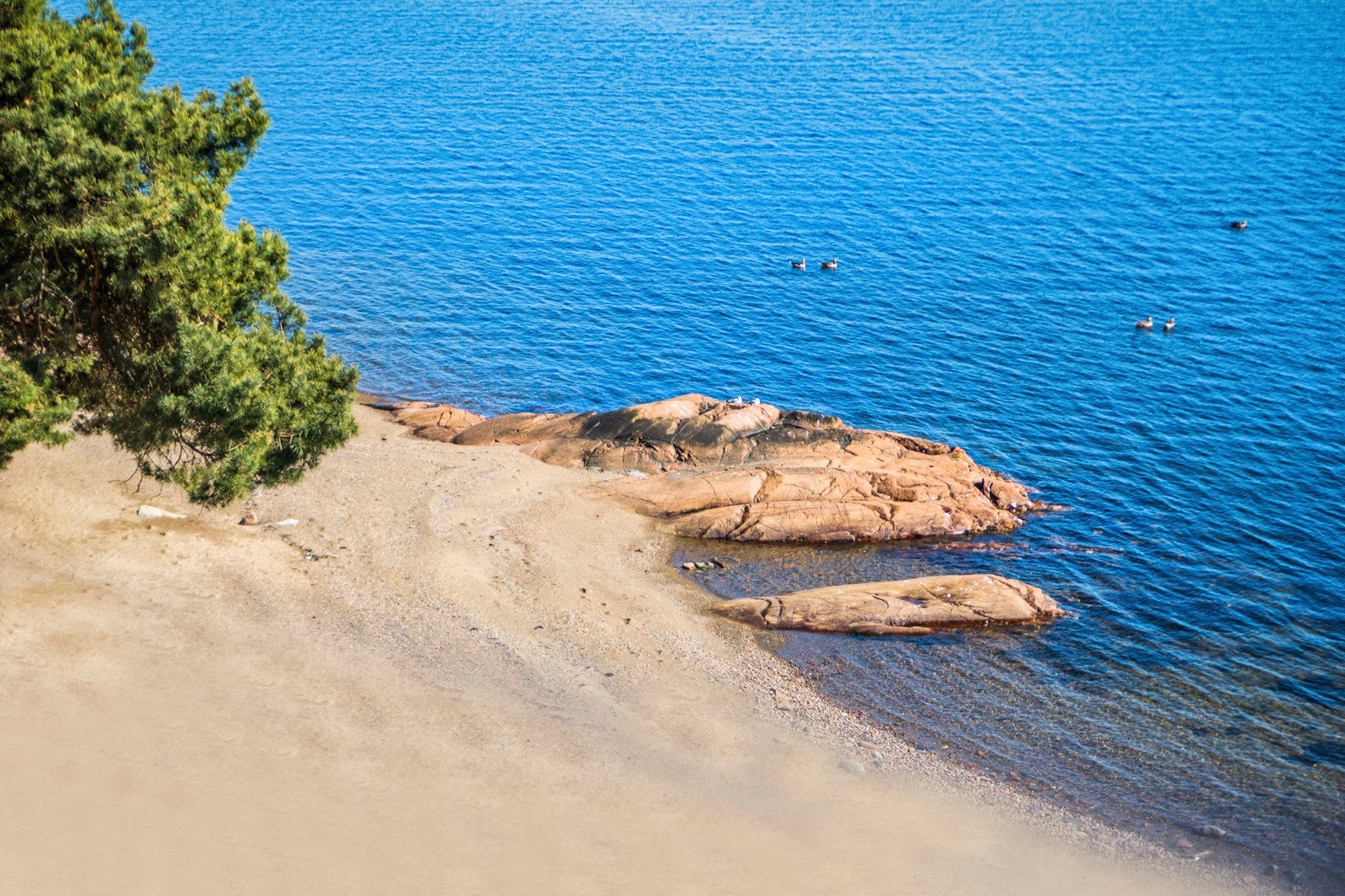 Bilde tatt fra leiligheten! Nydelig sandstrand rett på nedsiden. Galleribilde