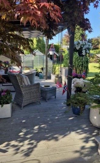 Privat sommerbilde fra hagen Galleribilde