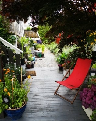 Privat sommerbilde fra hagen Galleribilde