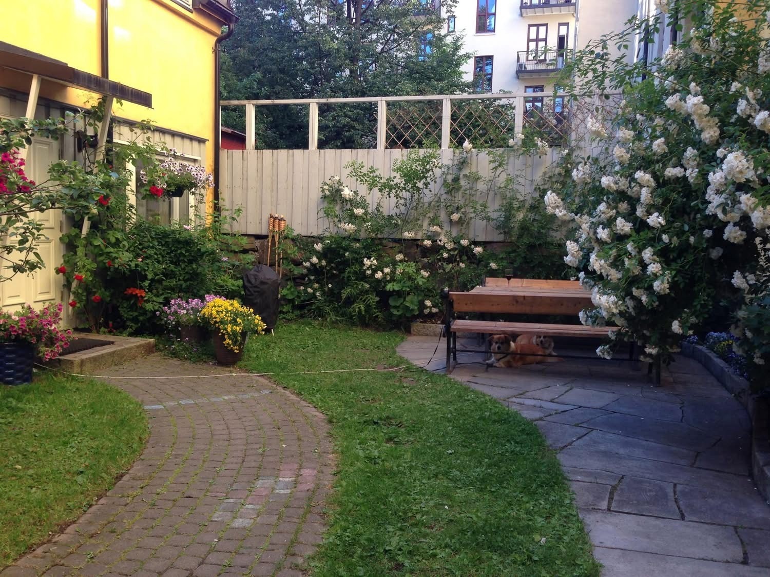 Selgers private bilde av bakgård på sommerstid. Galleribilde