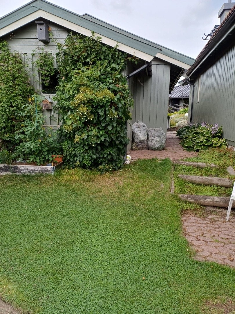 Privatbilde med sommerstemning Galleribilde