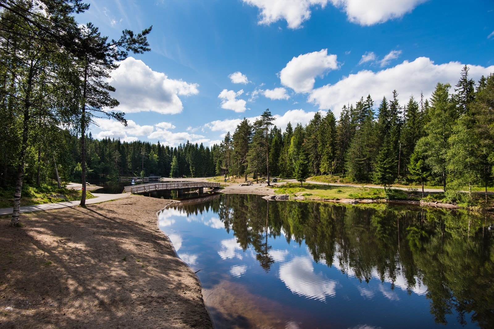 Lysdammen i Gjerdrum byr på idyll, badeglede og rekreasjon - for store og små Galleribilde