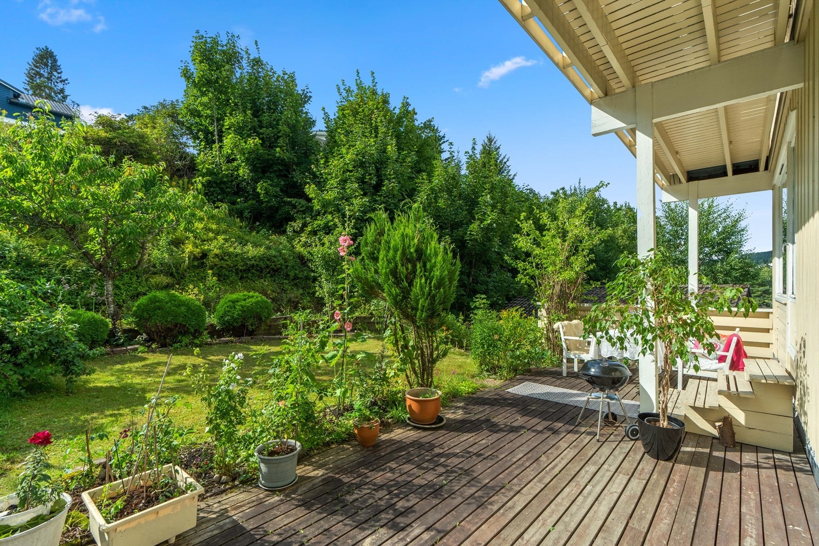Solrik terrasse og hage med diverse beplantning. Galleribilde